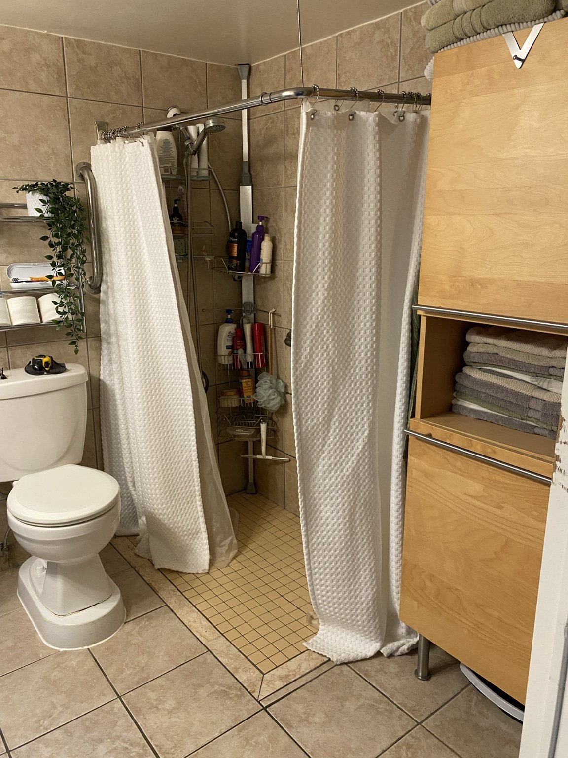 Bathroom shower before renovation